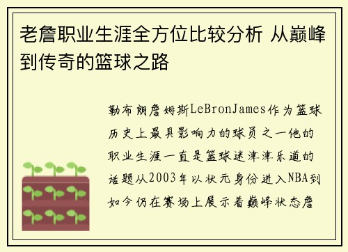老詹职业生涯全方位比较分析 从巅峰到传奇的篮球之路