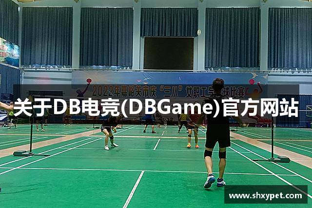 关于DB电竞(DBGame)官方网站